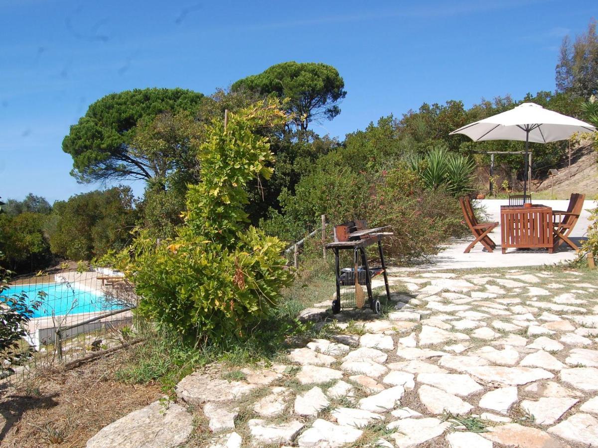 A Perfect Villa With Pool Terrace And Garden Alcobaça Zewnętrze zdjęcie