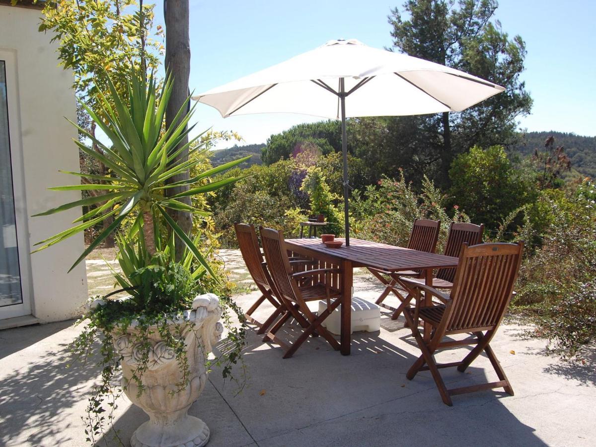 A Perfect Villa With Pool Terrace And Garden Alcobaça Zewnętrze zdjęcie