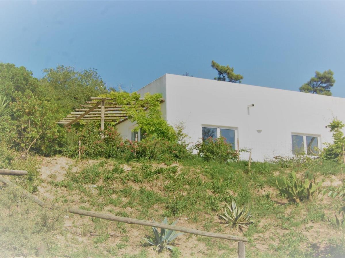 A Perfect Villa With Pool Terrace And Garden Alcobaça Zewnętrze zdjęcie