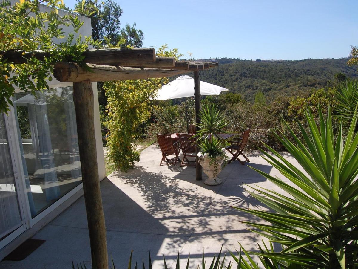 A Perfect Villa With Pool Terrace And Garden Alcobaça Zewnętrze zdjęcie