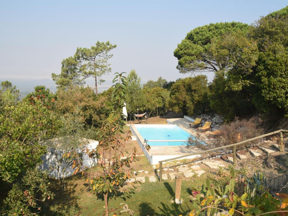 A Perfect Villa With Pool Terrace And Garden Alcobaça Zewnętrze zdjęcie