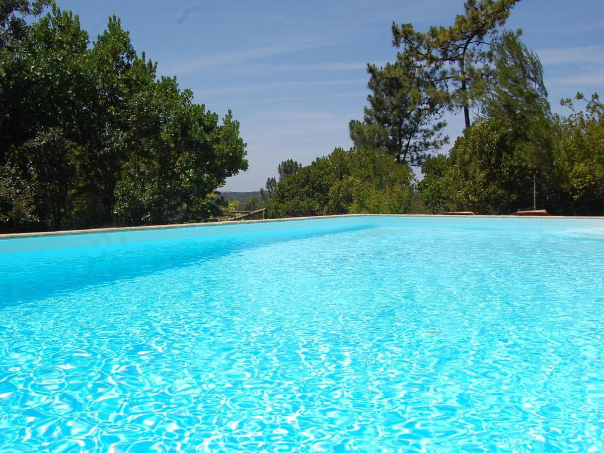 A Perfect Villa With Pool Terrace And Garden Alcobaça Zewnętrze zdjęcie