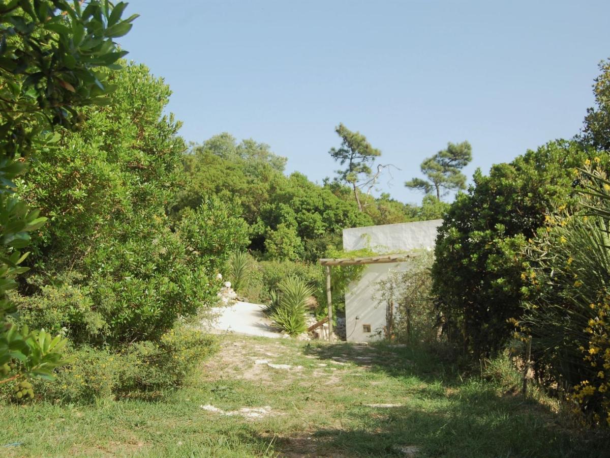 A Perfect Villa With Pool Terrace And Garden Alcobaça Zewnętrze zdjęcie